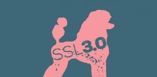 How to Disable SSLv3 on your WHM/cPanel Server