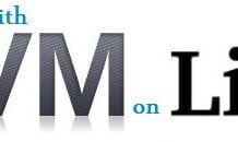 How to Convert/Migrate OpenVZ VPS to Xen/KVM