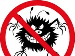 ***Critical WordPress Security Update