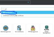 How to issue an SSL certificate to a domain in DirectAdmin