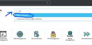 How to issue an SSL certificate to a domain in DirectAdmin