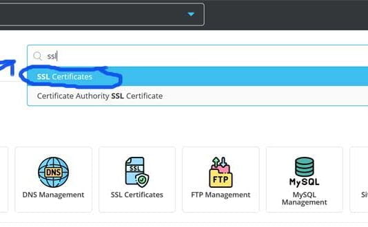How to issue an SSL certificate to a domain in DirectAdmin